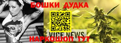прущие грибы Сланцы