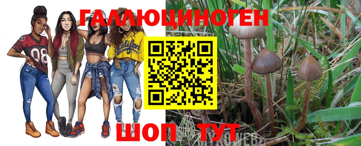 Галлюциногенные грибы прущие грибы Нурлат